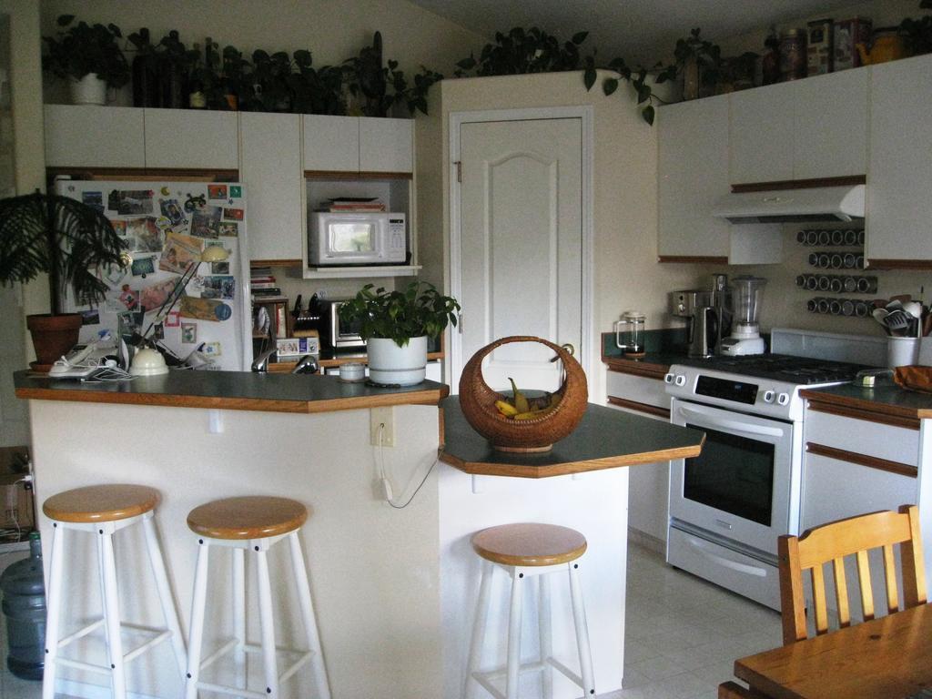 Avens Renaissance B&B Canmore Bagian luar foto