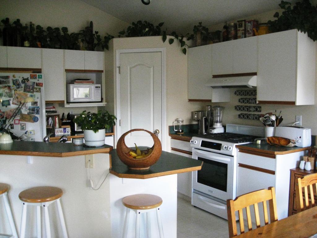 Avens Renaissance B&B Canmore Bagian luar foto