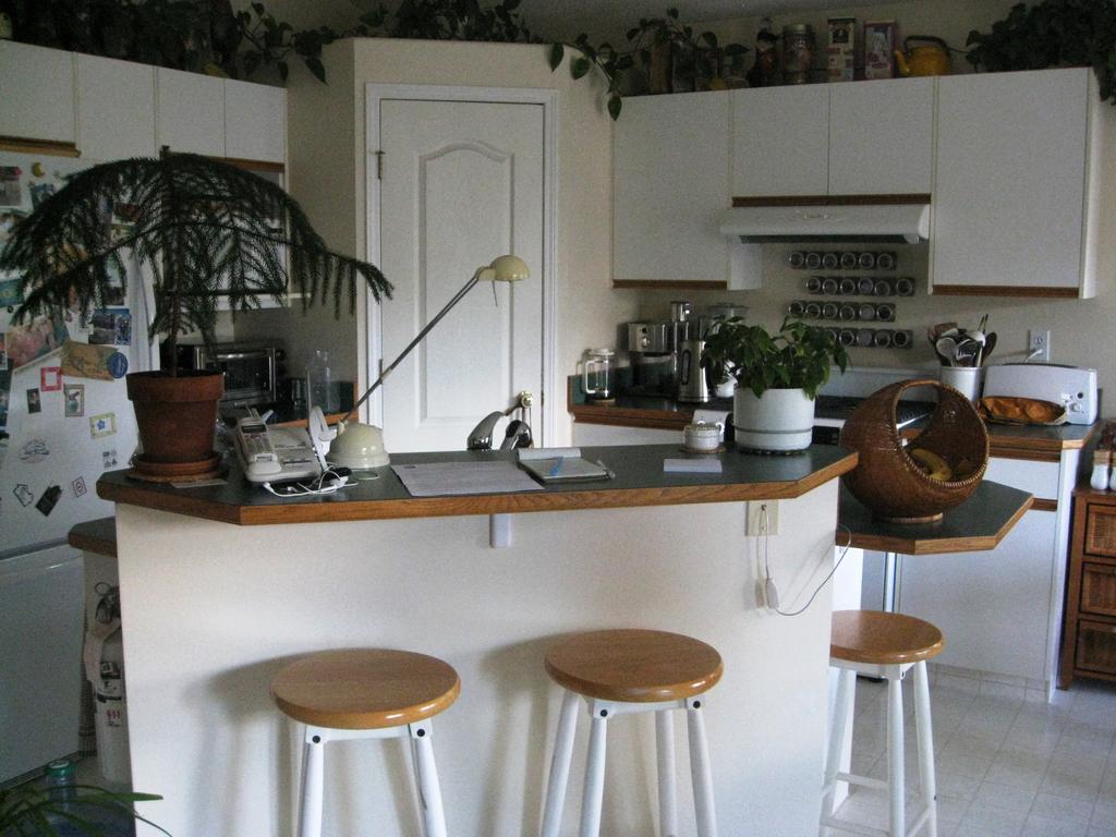 Avens Renaissance B&B Canmore Bagian luar foto