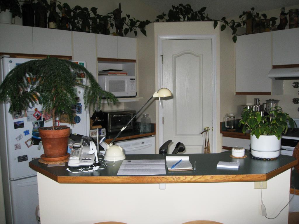 Avens Renaissance B&B Canmore Bagian luar foto